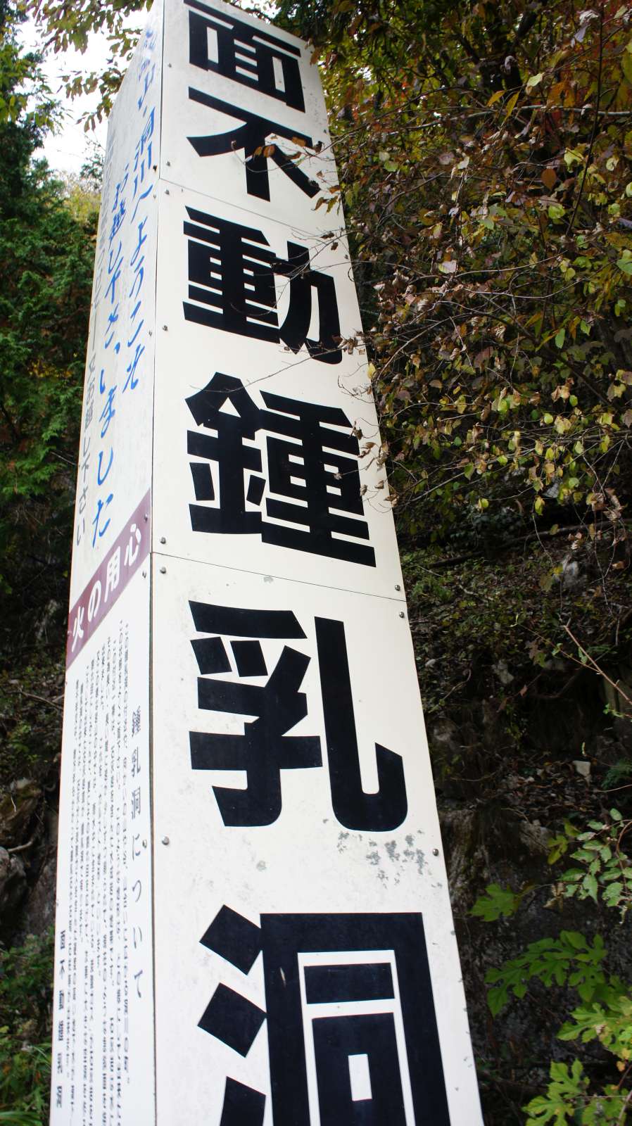 dsc00288.jpg