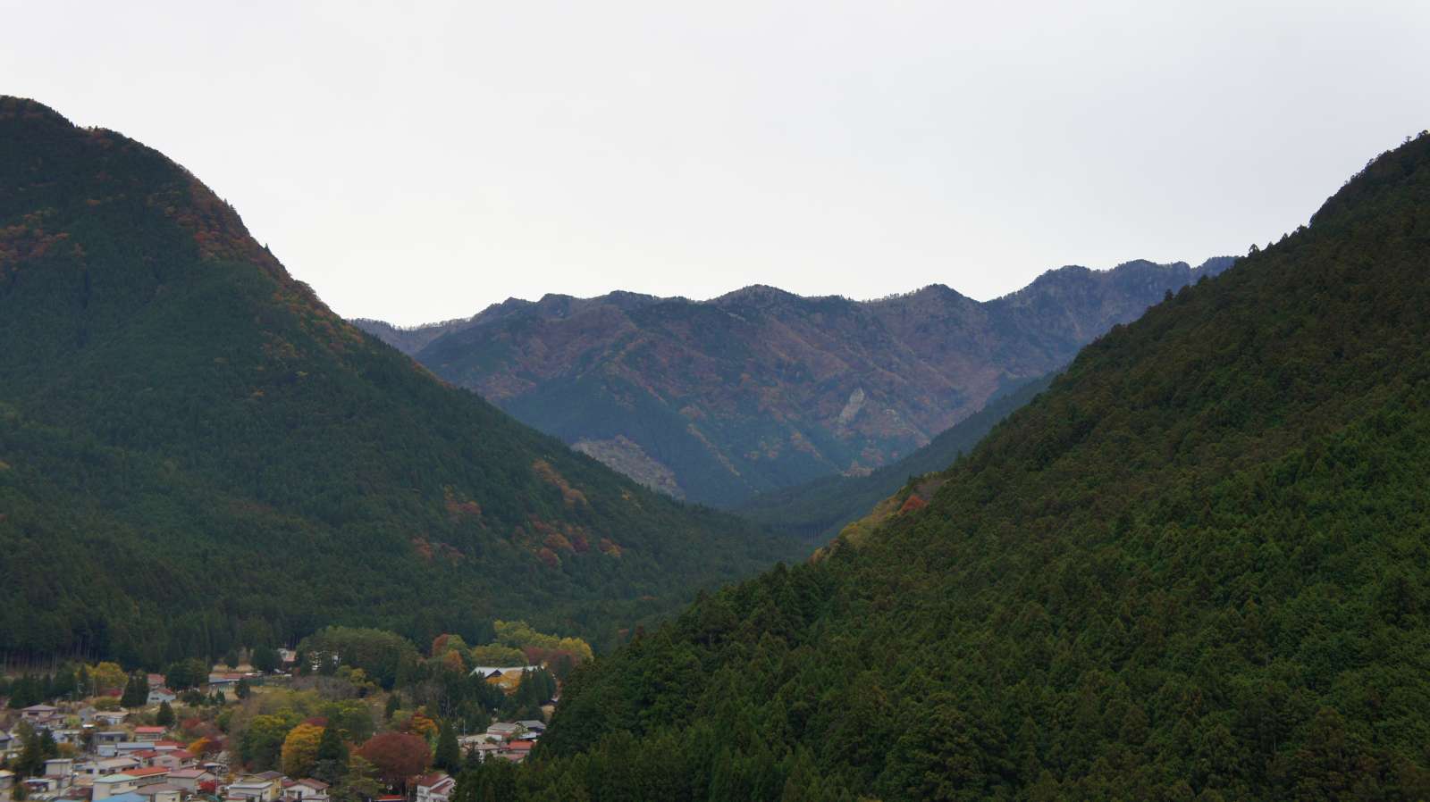dsc00292.jpg