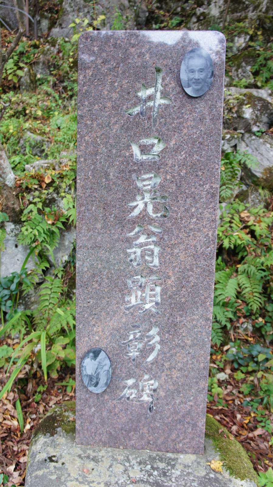 dsc00294.jpg