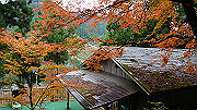 dsc00295_thumb.jpg