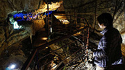 dsc00298_thumb.jpg