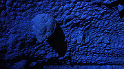 dsc00304_thumb.jpg