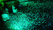 dsc00315_thumb.jpg
