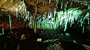 dsc00320_thumb.jpg