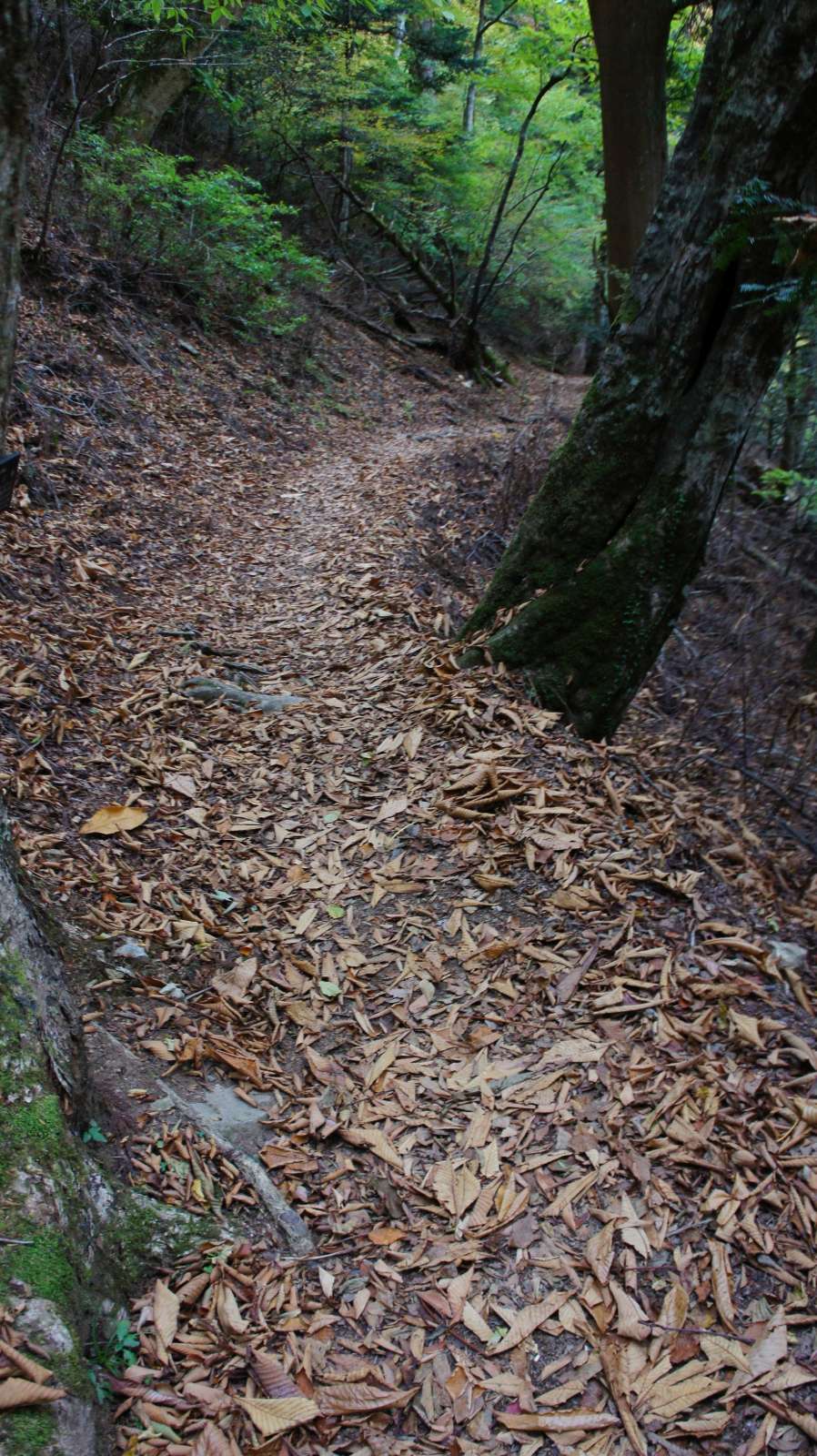 dsc00326.jpg