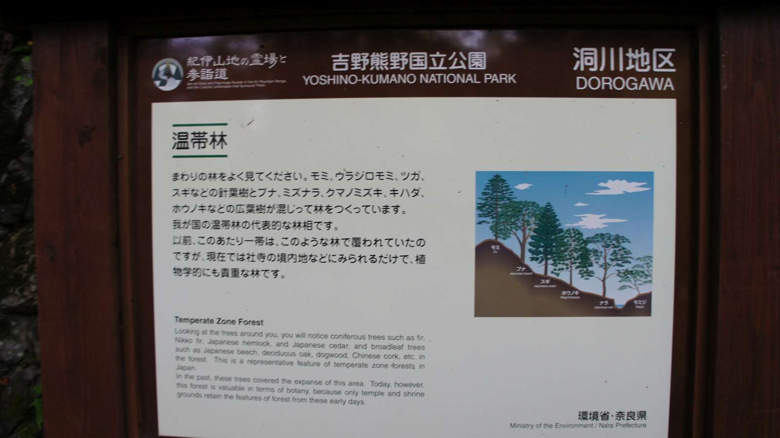 dsc00329.jpg