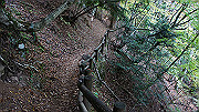 dsc00331_thumb.jpg