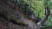 dsc00332_thumb.jpg