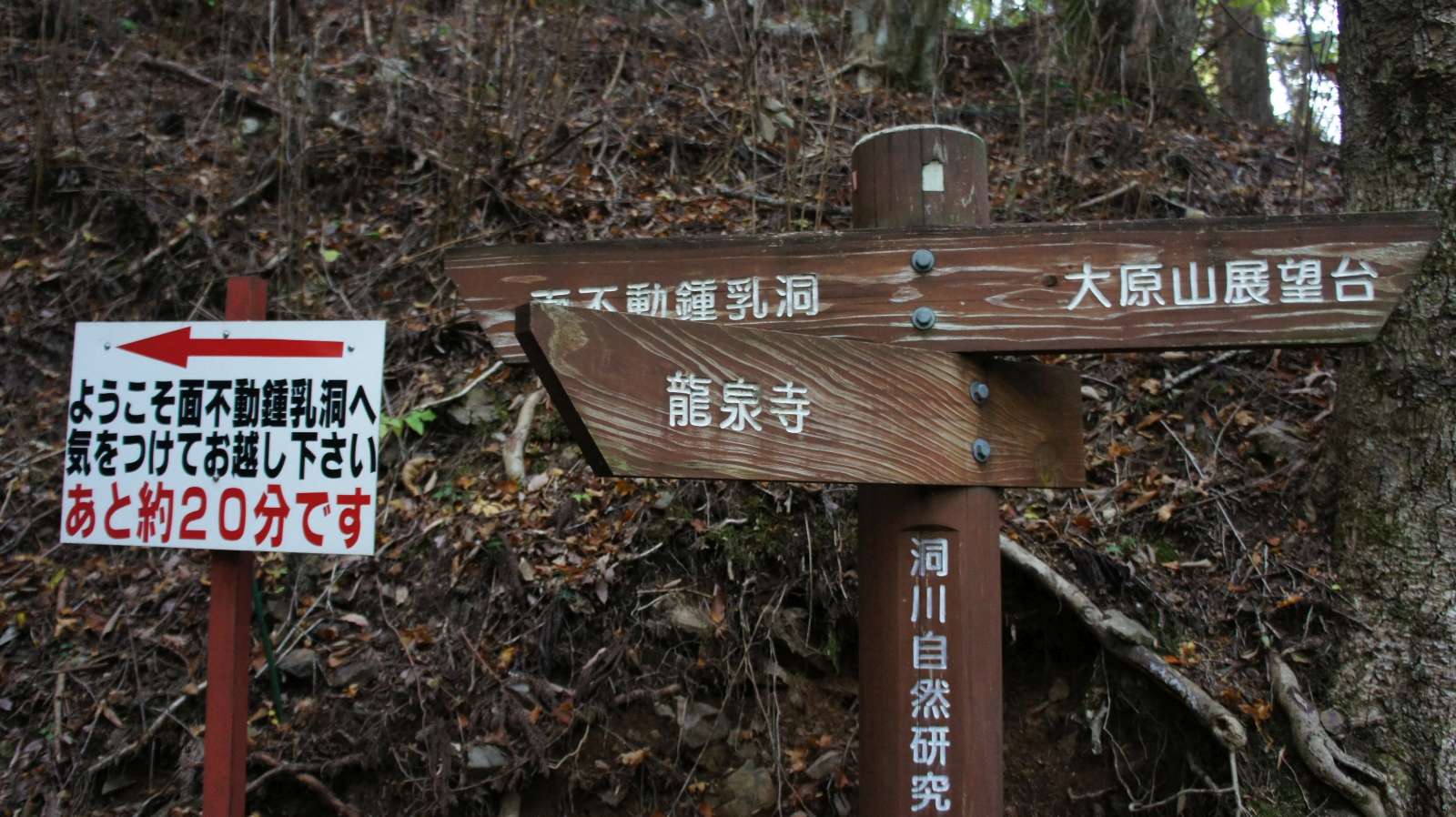 dsc00333.jpg