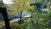 dsc00334_thumb.jpg