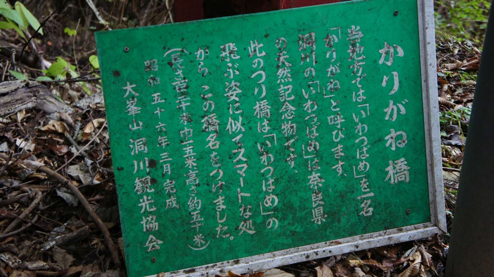 dsc00335.jpg