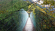 dsc00336_thumb.jpg