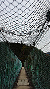 dsc00340_thumb.jpg