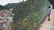 dsc00342_thumb.jpg