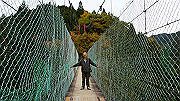 dsc00343_thumb.jpg