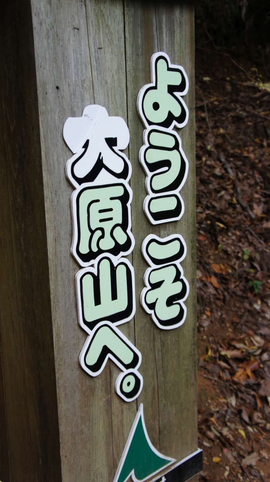 dsc00347.jpg