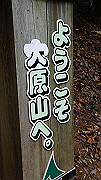 dsc00347_thumb.jpg