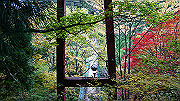 dsc00349_thumb.jpg