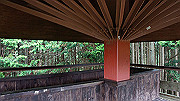 dsc00354_thumb.jpg