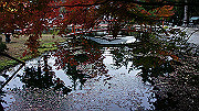dsc00356_thumb.jpg