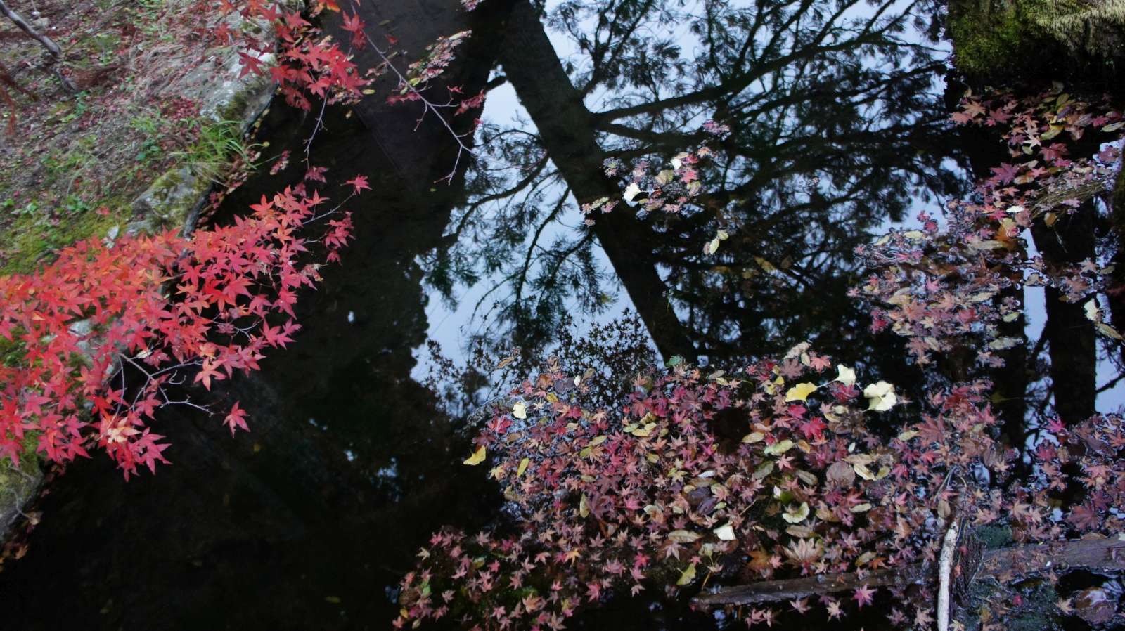 dsc00358.jpg