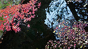 dsc00359_thumb.jpg