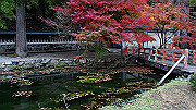dsc00361_thumb.jpg