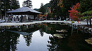 dsc00363_thumb.jpg