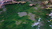 dsc00364_thumb.jpg