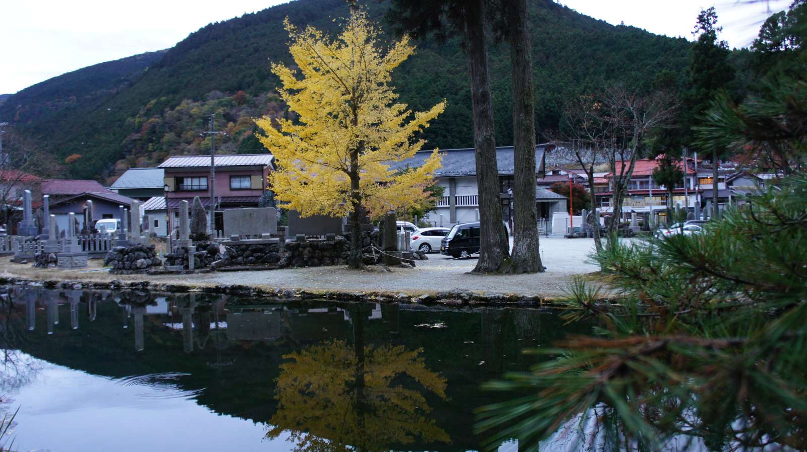 dsc00366.jpg