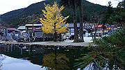 dsc00366_thumb.jpg