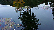 dsc00367_thumb.jpg