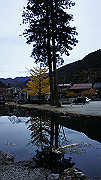 dsc00369_thumb.jpg