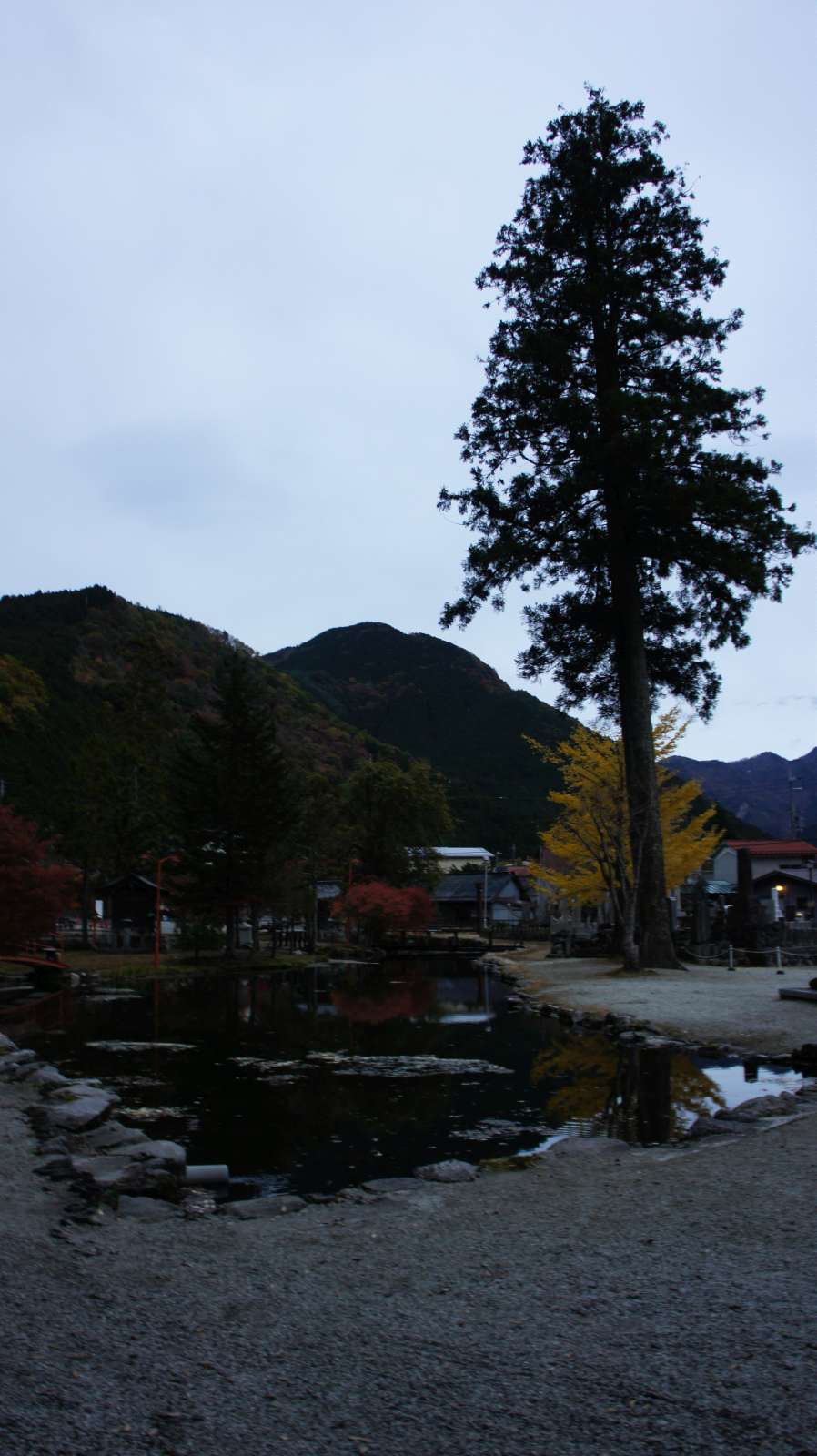 dsc00370.jpg