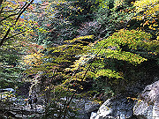 img_2425_thumb.jpg