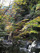 img_2426_thumb.jpg