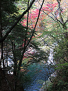 img_2428_thumb.jpg