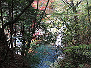 img_2429_thumb.jpg