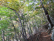 img_2435_thumb.jpg