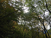 img_2436_thumb.jpg
