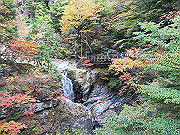 img_2438_thumb.jpg