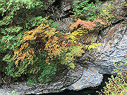 img_2439_thumb.jpg