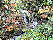 img_2440_thumb.jpg