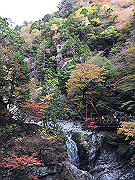 img_2441_thumb.jpg