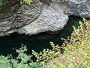 img_2443_thumb.jpg