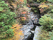 img_2446_thumb.jpg