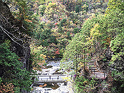 img_2447_thumb.jpg