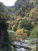 img_2448_thumb.jpg