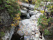 img_2450_thumb.jpg