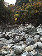 img_2453_thumb.jpg